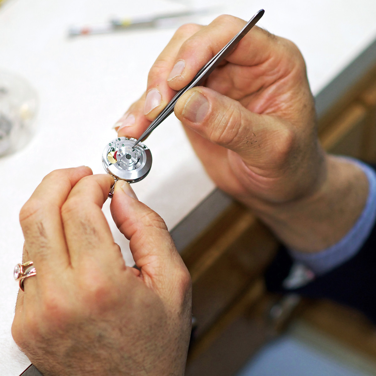 Watch Maintenance